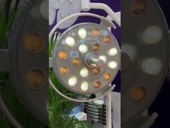 Lampe dentaire vétérinaire de chaise d'hôpital, lumière 28W utilisée dans la chaise dentaire