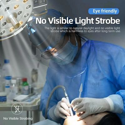 Lampe dentaire vétérinaire de chaise d'hôpital, lumière 28W utilisée dans la chaise dentaire