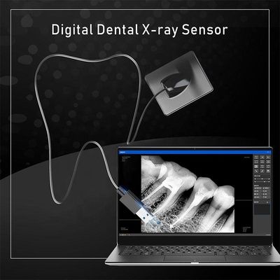 Machine dentaire polyvalente d'USB X Ray, unité dentaire tenue dans la main sans fil de X Ray