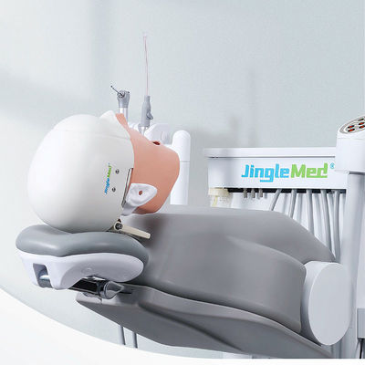 École Phantom Head Dental Simulator Durable d'université pour l'art dentaire