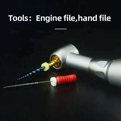 Unité 2.35mm dentaire inoxydable de Handpiece avec des outils de dossier de main de gamme de vitesse 000rpm