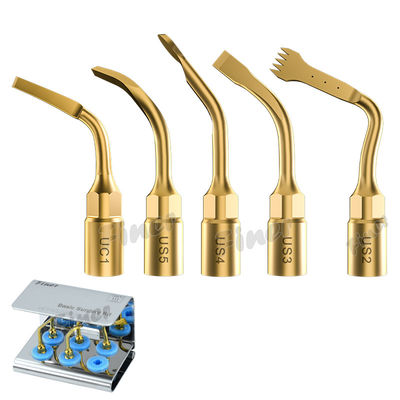25KHz Piezo chirurgie osseuse Conseils pour le sinus Levé d'extraction dentaire chirurgie parodontale