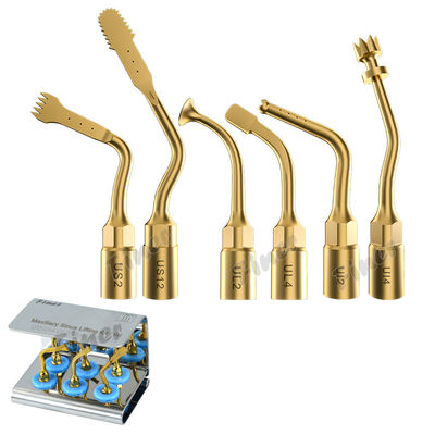 25KHz Piezo chirurgie osseuse Conseils pour le sinus Levé d'extraction dentaire chirurgie parodontale